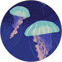 Claudia Fernández-Acero Lozano profile picture